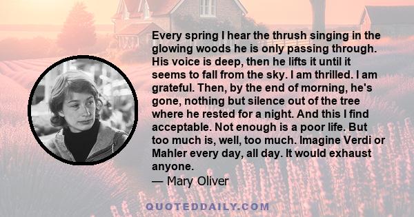 Every spring I hear the thrush singing in the glowing woods he is only passing through. His voice is deep, then he lifts it until it seems to fall from the sky. I am thrilled. I am grateful. Then, by the end of morning,