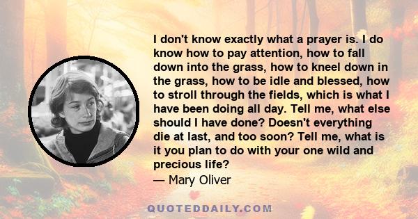 I don't know exactly what a prayer is. I do know how to pay attention, how to fall down into the grass, how to kneel down in the grass, how to be idle and blessed, how to stroll through the fields, which is what I have