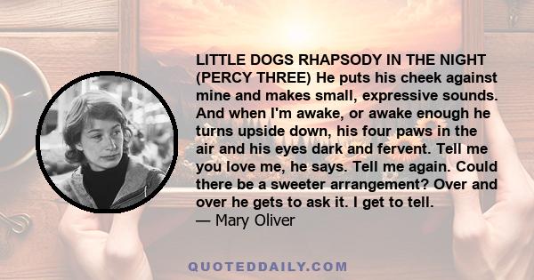 LITTLE DOGS RHAPSODY IN THE NIGHT (PERCY THREE) He puts his cheek against mine and makes small, expressive sounds. And when I'm awake, or awake enough he turns upside down, his four paws in the air and his eyes dark and