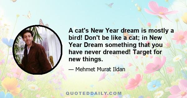 A cat's New Year dream is mostly a bird! Don't be like a cat; in New Year Dream something that you have never dreamed! Target for new things.