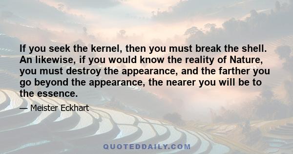 If you seek the kernel, then you must break the shell. An likewise, if you would know the reality of Nature, you must destroy the appearance, and the farther you go beyond the appearance, the nearer you will be to the