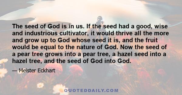 The seed of God is in us. If the seed had a good, wise and industrious cultivator, it would thrive all the more and grow up to God whose seed it is, and the fruit would be equal to the nature of God. Now the seed of a