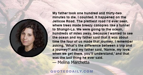 My father took one hundred and thirty-two minutes to die. I counted. It happened on the Jellicoe Road. The prettiest road I’d ever seen, where trees made breezy canopies like a tunnel to Shangri-La. We were going to the