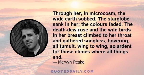 Through her, in microcosm, the wide earth sobbed. The starglobe sank in her; the colours faded. The death-dew rose and the wild birds in her breast climbed to her throat and gathered songless, hovering, all tumult, wing
