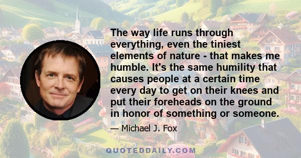 The way life runs through everything, even the tiniest elements of nature - that makes me humble. It's the same humility that causes people at a certain time every day to get on their knees and put their foreheads on