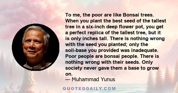 To me, the poor are like Bonsai trees. When you plant the best seed of the tallest tree in a six-inch deep flower pot, you get a perfect replica of the tallest tree, but it is only inches tall. There is nothing wrong