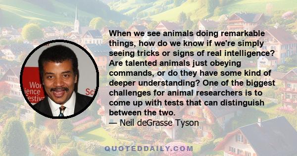 When we see animals doing remarkable things, how do we know if we're simply seeing tricks or signs of real intelligence? Are talented animals just obeying commands, or do they have some kind of deeper understanding? One