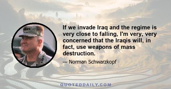 If we invade Iraq and the regime is very close to falling, I'm very, very concerned that the Iraqis will, in fact, use weapons of mass destruction.