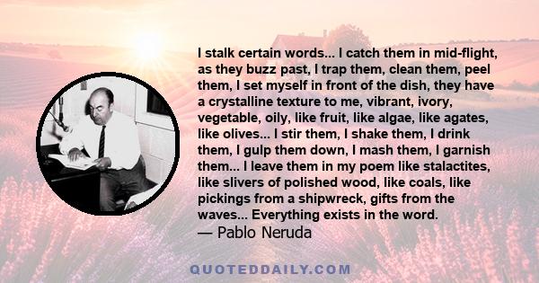 I stalk certain words... I catch them in mid-flight, as they buzz past, I trap them, clean them, peel them, I set myself in front of the dish, they have a crystalline texture to me, vibrant, ivory, vegetable, oily, like