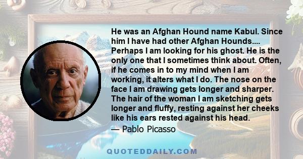 He was an Afghan Hound name Kabul. Since him I have had other Afghan Hounds.... Perhaps I am looking for his ghost. He is the only one that I sometimes think about. Often, if he comes in to my mind when I am working, it