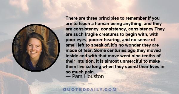 There are three principles to remember if you are to teach a human being anything, and they are consistency, consistency, consistency.They are such fragile creatures to begin with, with poor eyes, poorer hearing, and no