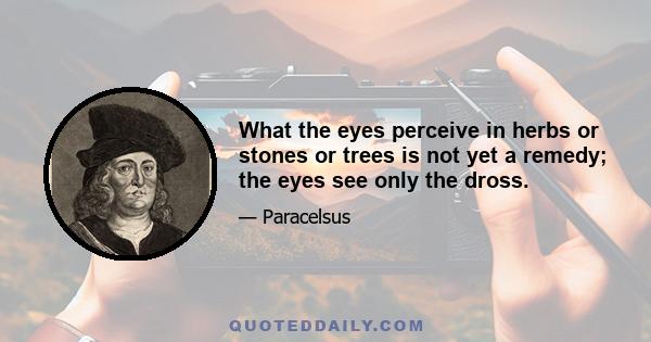 What the eyes perceive in herbs or stones or trees is not yet a remedy; the eyes see only the dross.
