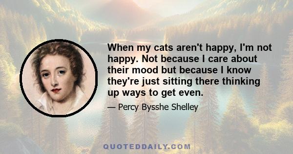 When my cats aren't happy, I'm not happy. Not because I care about their mood but because I know they're just sitting there thinking up ways to get even.