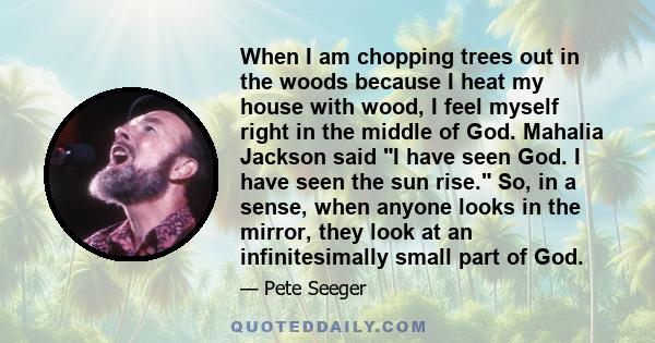 When I am chopping trees out in the woods because I heat my house with wood, I feel myself right in the middle of God. Mahalia Jackson said I have seen God. I have seen the sun rise. So, in a sense, when anyone looks in