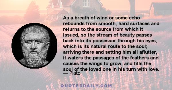 As a breath of wind or some echo rebounds from smooth, hard surfaces and returns to the source from which it issued, so the stream of beauty passes back into its possessor through his eyes, which is its natural route to