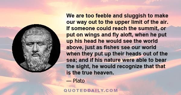 We are too feeble and sluggish to make our way out to the upper limit of the air. If someone could reach the summit, or put on wings and fly aloft, when he put up his head he would see the world above, just as fishes
