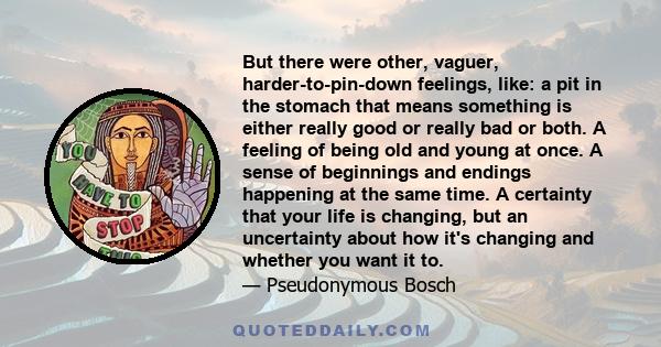But there were other, vaguer, harder-to-pin-down feelings, like: a pit in the stomach that means something is either really good or really bad or both. A feeling of being old and young at once. A sense of beginnings and