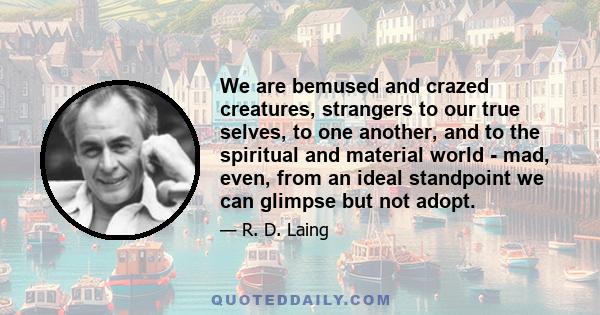 We are bemused and crazed creatures, strangers to our true selves, to one another, and to the spiritual and material world - mad, even, from an ideal standpoint we can glimpse but not adopt.