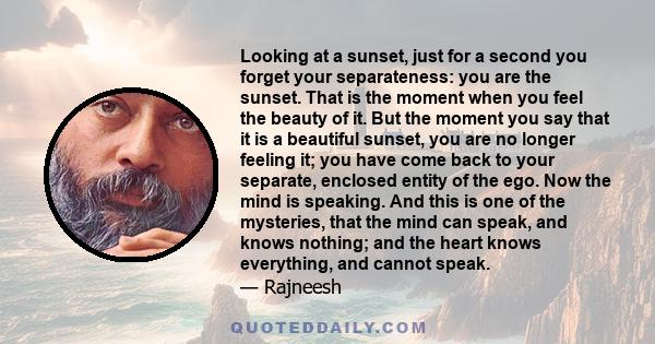 Looking at a sunset, just for a second you forget your separateness: you are the sunset. That is the moment when you feel the beauty of it. But the moment you say that it is a beautiful sunset, you are no longer feeling