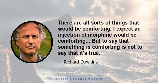 There are all sorts of things that would be comforting. I expect an injection of morphine would be comforting... But to say that something is comforting is not to say that it's true.
