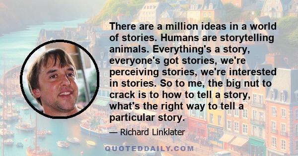 There are a million ideas in a world of stories. Humans are storytelling animals. Everything's a story, everyone's got stories, we're perceiving stories, we're interested in stories. So to me, the big nut to crack is to
