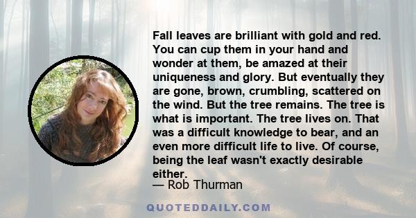 Fall leaves are brilliant with gold and red. You can cup them in your hand and wonder at them, be amazed at their uniqueness and glory. But eventually they are gone, brown, crumbling, scattered on the wind. But the tree