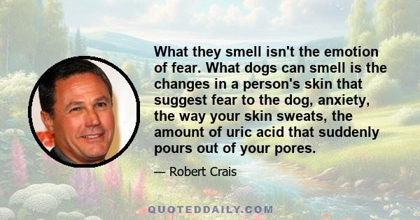 What they smell isn't the emotion of fear. What dogs can smell is the changes in a person's skin that suggest fear to the dog, anxiety, the way your skin sweats, the amount of uric acid that suddenly pours out of your