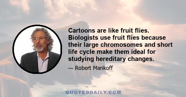 Cartoons are like fruit flies. Biologists use fruit flies because their large chromosomes and short life cycle make them ideal for studying hereditary changes.