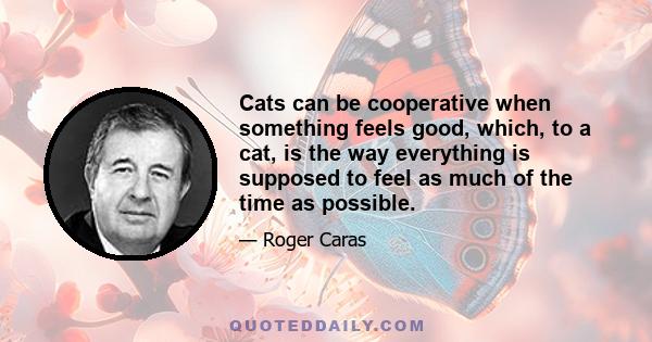 Cats can be cooperative when something feels good, which, to a cat, is the way everything is supposed to feel as much of the time as possible.