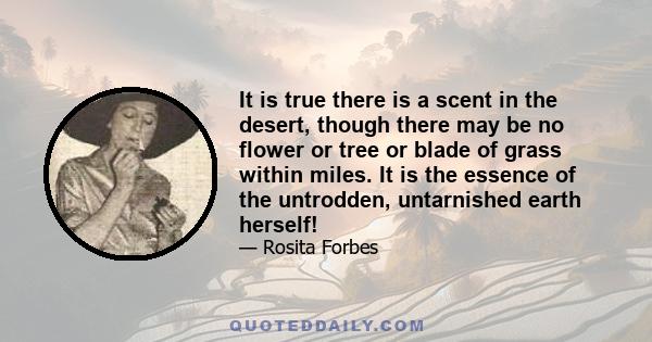 It is true there is a scent in the desert, though there may be no flower or tree or blade of grass within miles. It is the essence of the untrodden, untarnished earth herself!