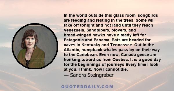 In the world outside this glass room, songbirds are feeding and resting in the trees. Some will take off tonight and not land until they reach Venezuela. Sandpipers, plovers, and broad-winged hawks have already left for