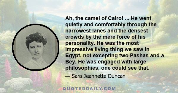 Ah, the camel of Cairo! ... He went quietly and comfortably through the narrowest lanes and the densest crowds by the mere force of his personality. He was the most impressive living thing we saw in Egypt, not excepting