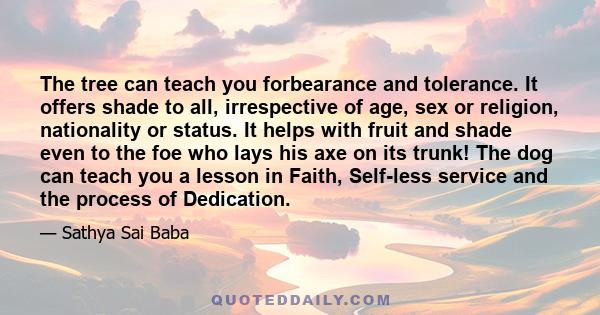 The tree can teach you forbearance and tolerance. It offers shade to all, irrespective of age, sex or religion, nationality or status. It helps with fruit and shade even to the foe who lays his axe on its trunk! The dog