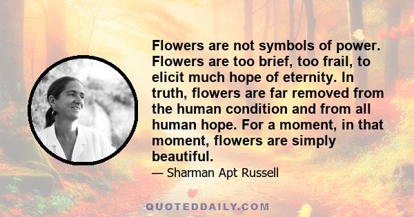 Flowers are not symbols of power. Flowers are too brief, too frail, to elicit much hope of eternity. In truth, flowers are far removed from the human condition and from all human hope. For a moment, in that moment,