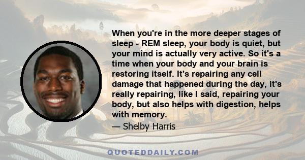 When you're in the more deeper stages of sleep - REM sleep, your body is quiet, but your mind is actually very active. So it's a time when your body and your brain is restoring itself. It's repairing any cell damage