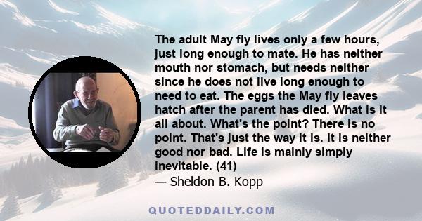 The adult May fly lives only a few hours, just long enough to mate. He has neither mouth nor stomach, but needs neither since he does not live long enough to need to eat. The eggs the May fly leaves hatch after the