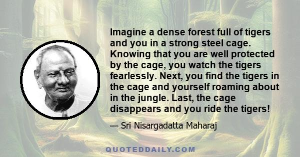 Imagine a dense forest full of tigers and you in a strong steel cage. Knowing that you are well protected by the cage, you watch the tigers fearlessly. Next, you find the tigers in the cage and yourself roaming about in