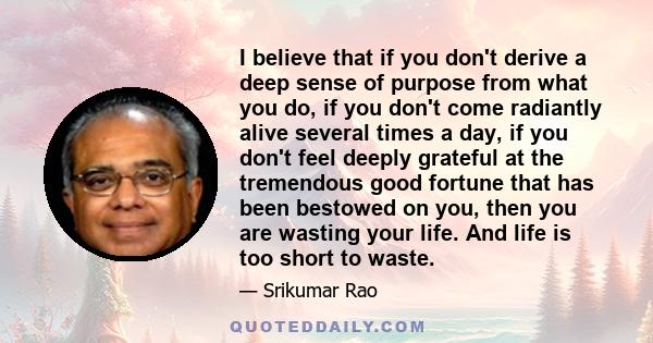 I believe that if you don't derive a deep sense of purpose from what you do, if you don't come radiantly alive several times a day, if you don't feel deeply grateful at the tremendous good fortune that has been bestowed