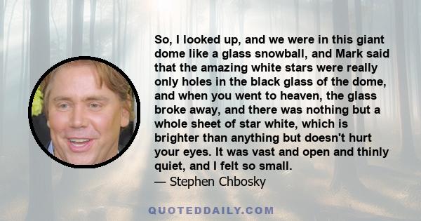 So, I looked up, and we were in this giant dome like a glass snowball, and Mark said that the amazing white stars were really only holes in the black glass of the dome, and when you went to heaven, the glass broke away,