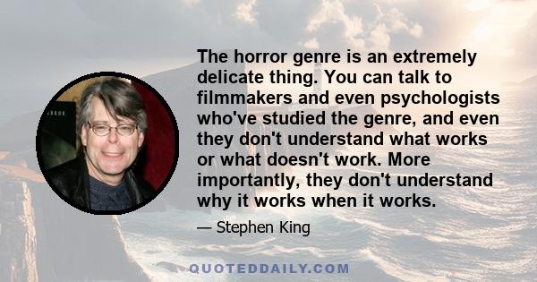 The horror genre is an extremely delicate thing. You can talk to filmmakers and even psychologists who've studied the genre, and even they don't understand what works or what doesn't work. More importantly, they don't