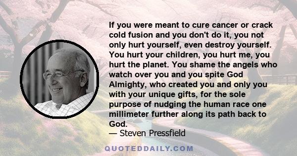 If you were meant to cure cancer or crack cold fusion and you don't do it, you not only hurt yourself, even destroy yourself. You hurt your children, you hurt me, you hurt the planet. You shame the angels who watch over