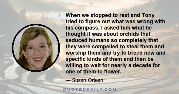 When we stopped to rest and Tony tried to figure out what was wrong with his compass, I asked him what he thought it was about orchids that seduced humans so completely that they were compelled to steal them and worship
