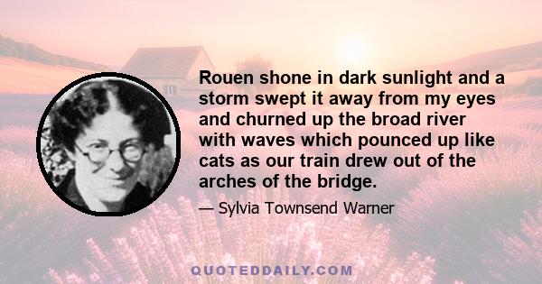 Rouen shone in dark sunlight and a storm swept it away from my eyes and churned up the broad river with waves which pounced up like cats as our train drew out of the arches of the bridge.