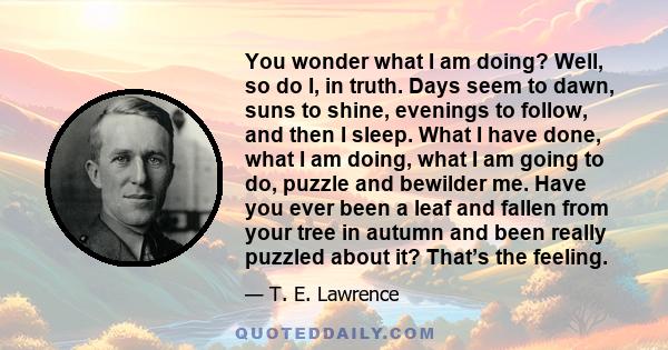 You wonder what I am doing? Well, so do I, in truth. Days seem to dawn, suns to shine, evenings to follow, and then I sleep. What I have done, what I am doing, what I am going to do, puzzle and bewilder me. Have you