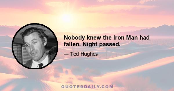 Nobody knew the Iron Man had fallen. Night passed.