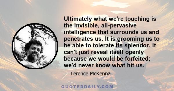 Ultimately what we're touching is the invisible, all-pervasive intelligence that surrounds us and penetrates us. It is grooming us to be able to tolerate its splendor. It can't just reveal itself openly because we would