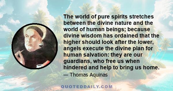 The world of pure spirits stretches between the divine nature and the world of human beings; because divine wisdom has ordained that the higher should look after the lower, angels execute the divine plan for human