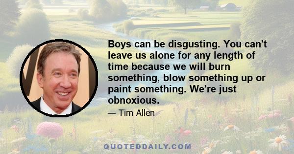 Boys can be disgusting. You can't leave us alone for any length of time because we will burn something, blow something up or paint something. We're just obnoxious.