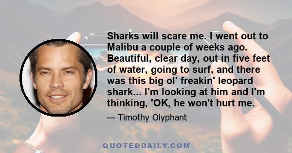 Sharks will scare me. I went out to Malibu a couple of weeks ago. Beautiful, clear day, out in five feet of water, going to surf, and there was this big ol' freakin' leopard shark... I'm looking at him and I'm thinking,
