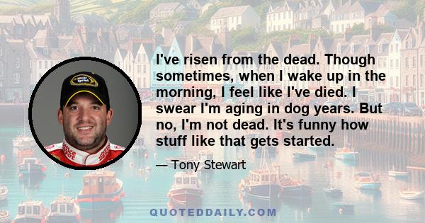 I've risen from the dead. Though sometimes, when I wake up in the morning, I feel like I've died. I swear I'm aging in dog years. But no, I'm not dead. It's funny how stuff like that gets started.